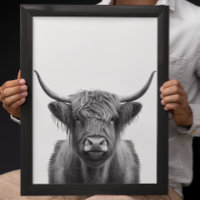 Highland Cow Head Portrait Black white