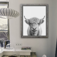 Highland Cow Head Portrait Black white