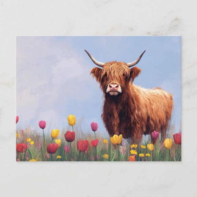 Highland Cow in a Field of Tulips Postcard (Front)