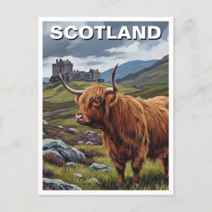 Highland Cow in Scotland Travel Postcard