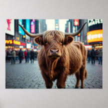 Highland Cow in Times Square