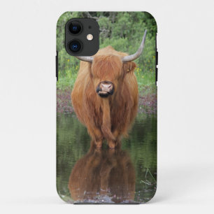 Highland cow iPhone 5 case