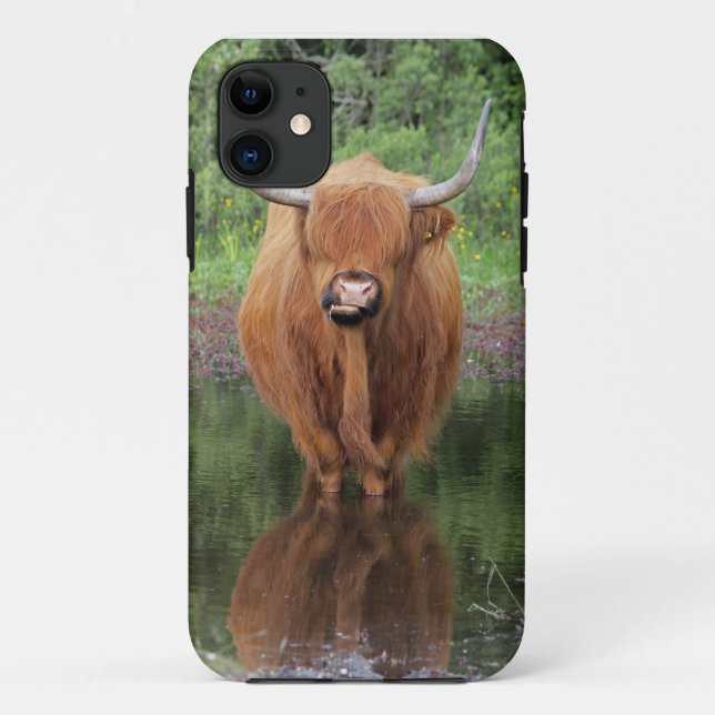 Highland cow iPhone 5 case (Back)