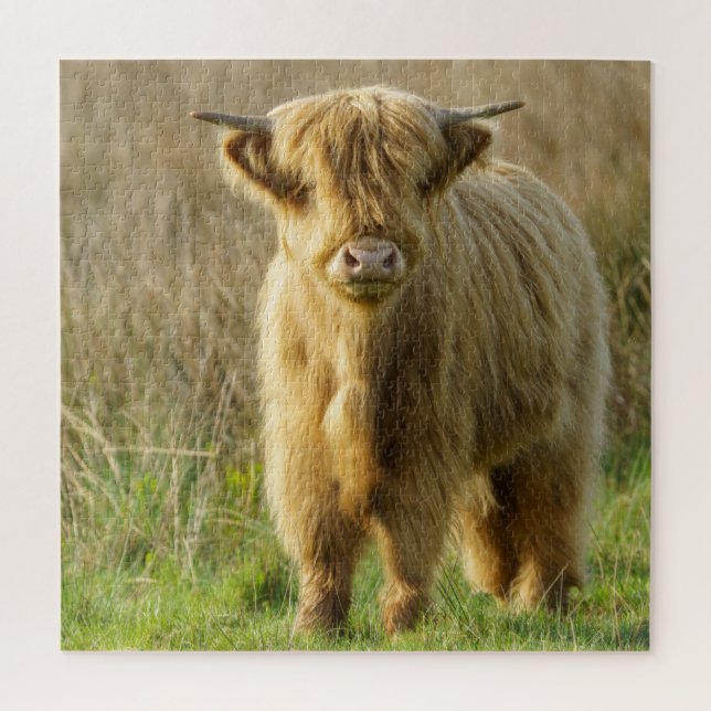 Highland Cow Jigsaw Puzzle (Vertical)