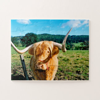 Highland cow jigsaw puzzle
