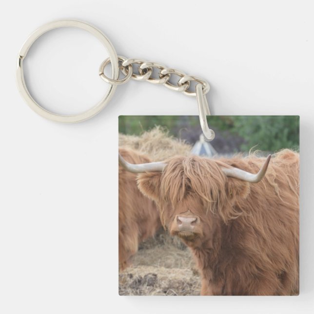 Highland Cow Key Ring (Front)