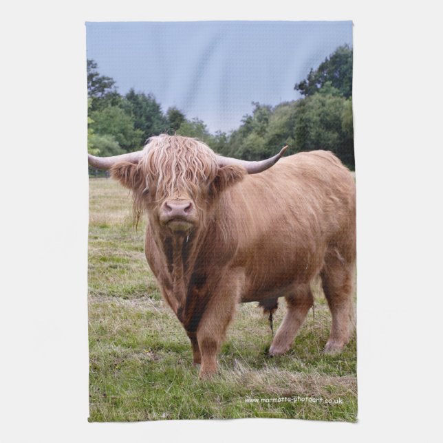 Highland Cow Kitchen Towel (Vertical)