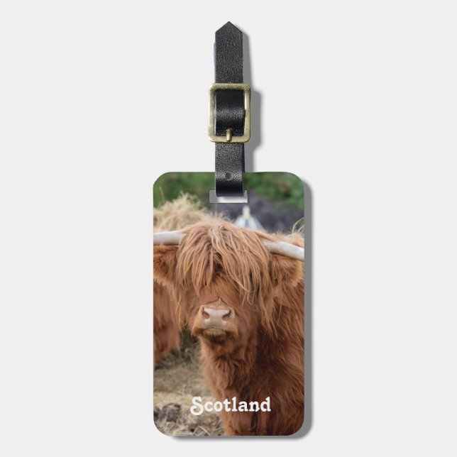 Highland Cow Luggage Tag (Front Vertical)