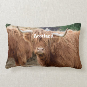 Highland Cow Lumbar Cushion