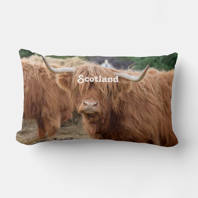 Highland Cow Lumbar Cushion (Front)