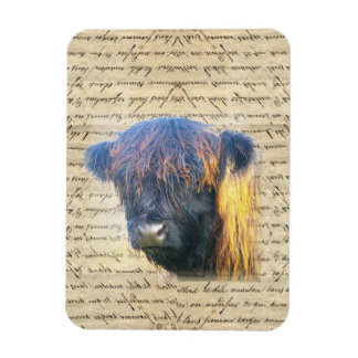 Highland cow magnet