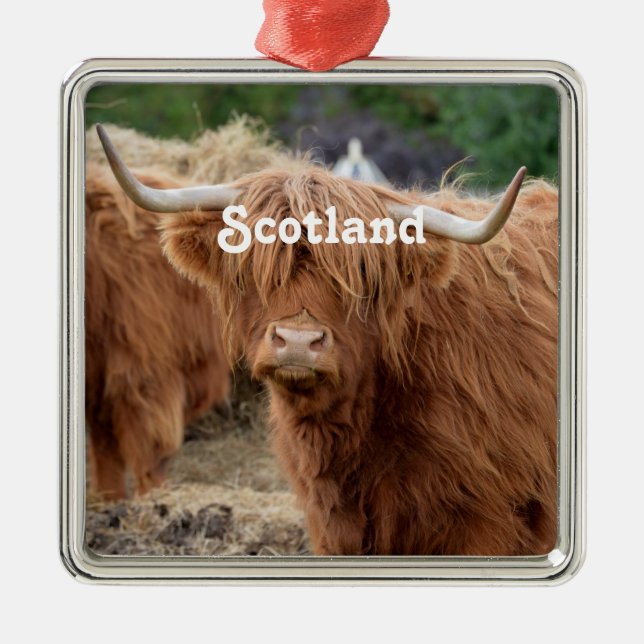 Highland Cow Metal Tree Decoration (Front)