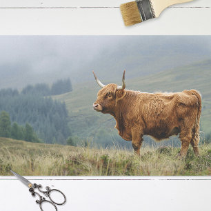 Highland Cow Misty Morning Decoupage Tissue Paper