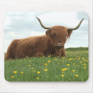 Highland Cow Mouse Pad