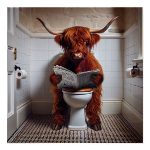 Highland Cow / News Poster