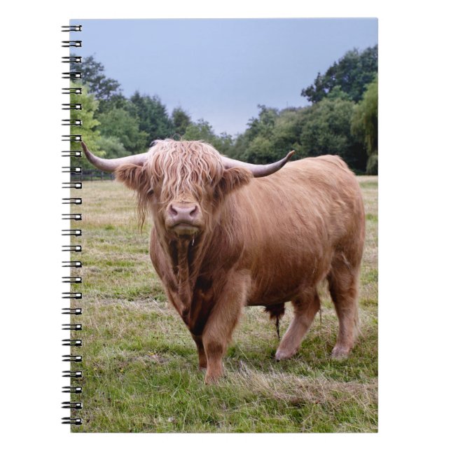 Highland Cow Notebook (Front)
