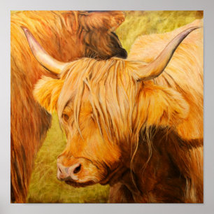 Highland Cow, Oil pastels Poster