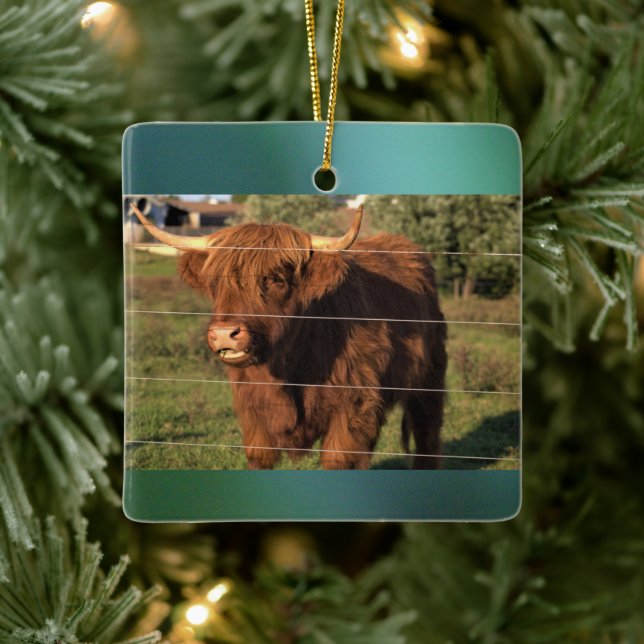 Highland Cow Photo Ceramic Ornament (Tree)