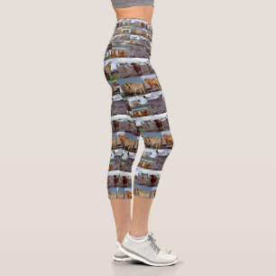 Highland Cow Photo Collage Capris Leggings,