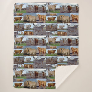 Highland Cow Photo Collage, Large Sherpa Blanket