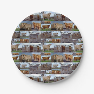 Highland Cow Photo Collage, Paper Plates