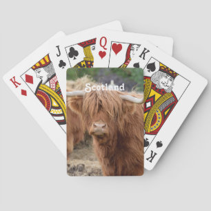 Highland Cow Playing Cards