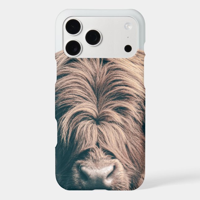 Highland cow portrait (Back)