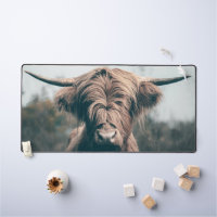Highland cow portrait