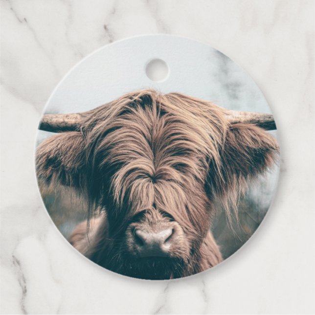 Highland cow portrait favour tags (Front)