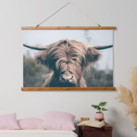 Highland cow portrait