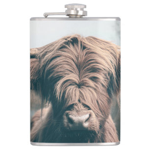 Highland cow portrait hip flask