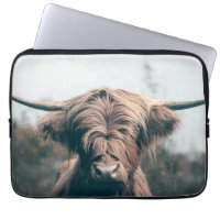 Highland cow portrait