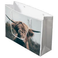 Highland cow portrait