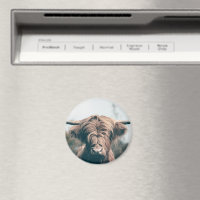Highland cow portrait