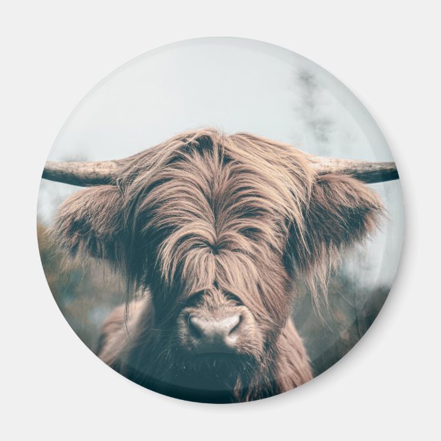 Highland cow portrait magnet (Front)