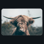 Highland cow portrait magnet<br><div class="desc">Animal portrait photograph of majestic highland cow.</div>
