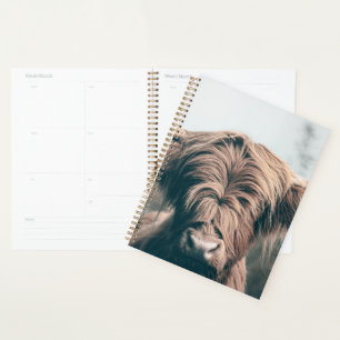 Highland cow portrait planner