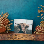 Highland cow portrait plaque<br><div class="desc">Animal portrait photograph of majestic highland cow.</div>