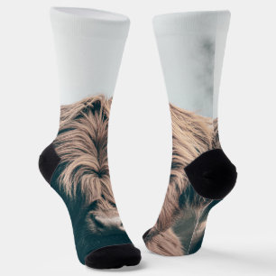 Highland cow portrait socks