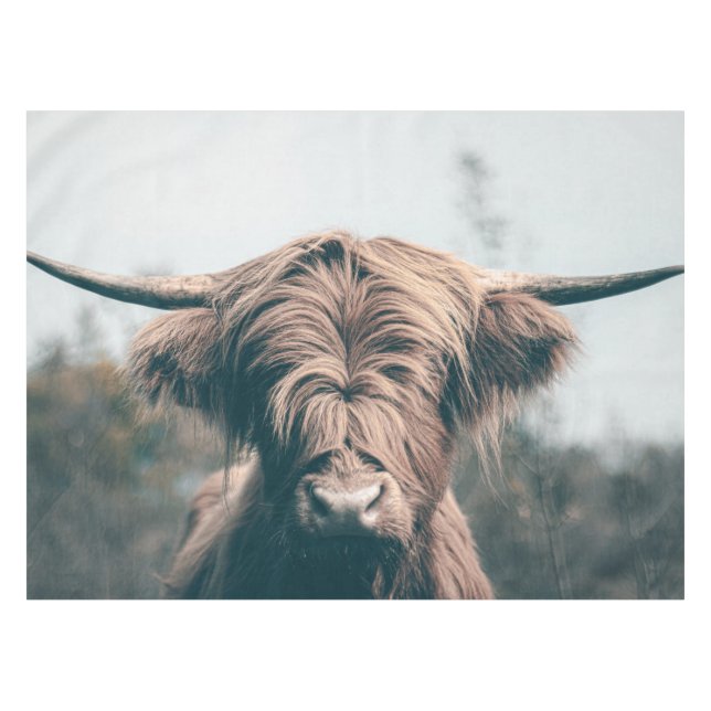 Highland cow portrait tablecloth (Front (Horizontal))