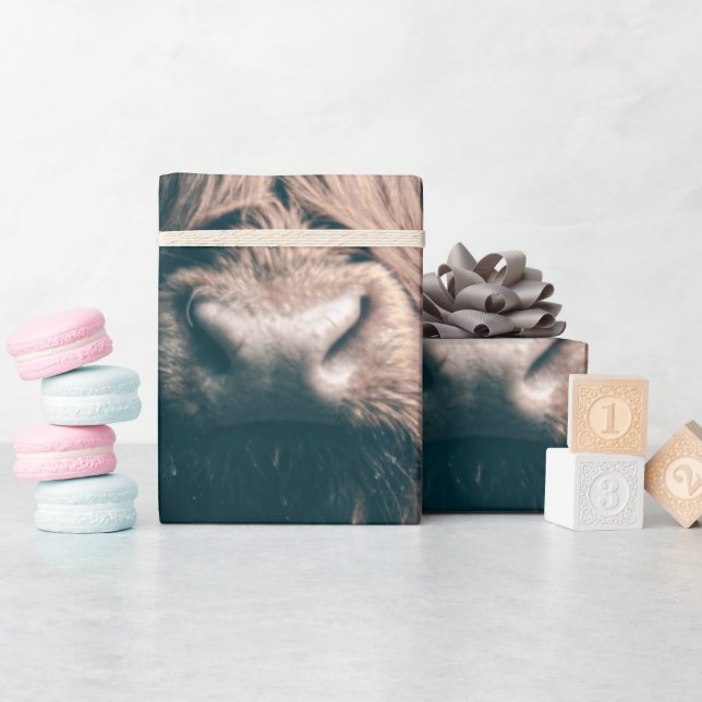 Highland cow portrait wrapping paper (Baby Shower)