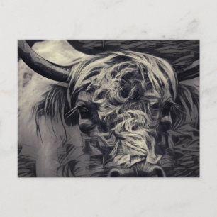 Highland Cow Postcard