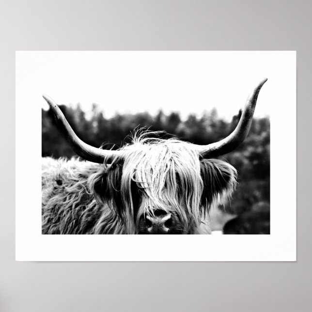 Highland Cow Rustic Boho Chic Black and White Poster (Front)