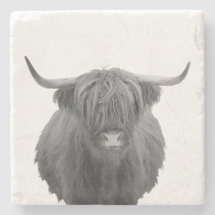 Highland Cow Scotland Black White Farmhouse Stone Coaster