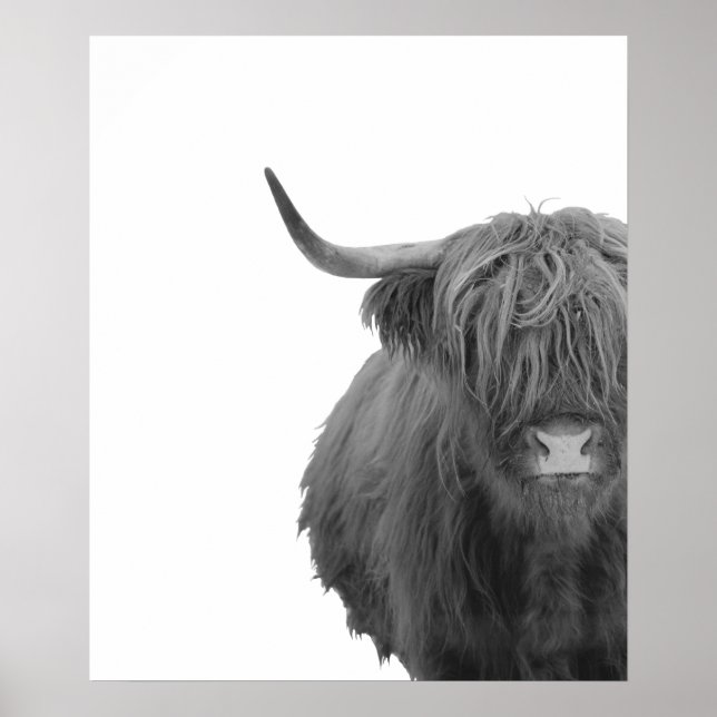 Highland Cow Scotland Rustic Black White Poster (Front)
