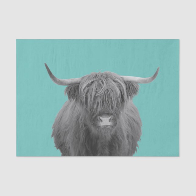Highland Cow Scotland Rustic Black White  Tissue P Tissue Paper (Front)