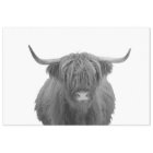 Highland Cow Scotland Rustic Black White 
