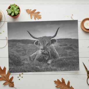Highland Cow Scotland Rustic Tissue Paper