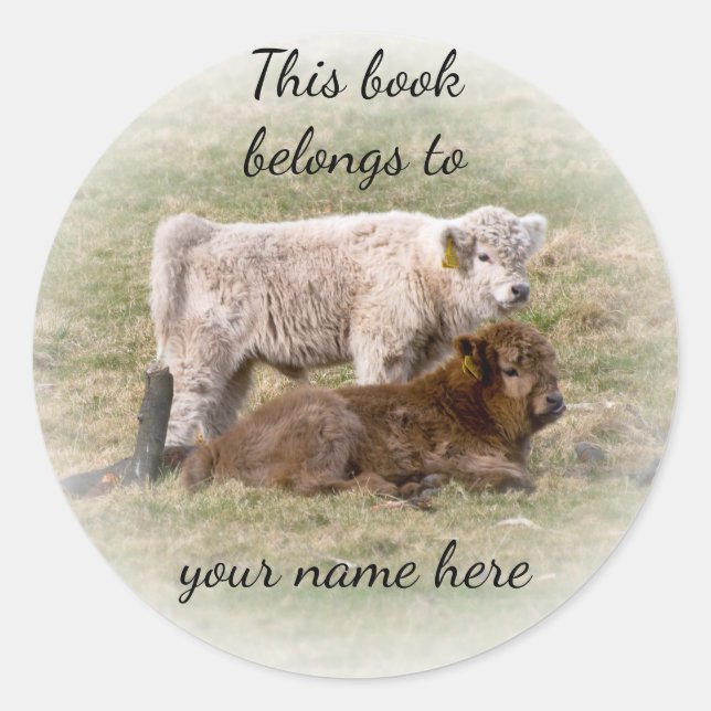 Highland Cow "This book belongs to" sticker (Front)