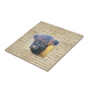 Highland cow tile